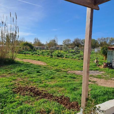 Gite Des Canniers Hyères Exteriér fotografie