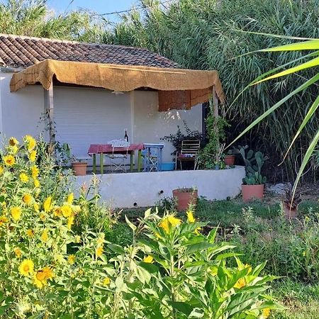 Gite Des Canniers Hyères Exteriér fotografie