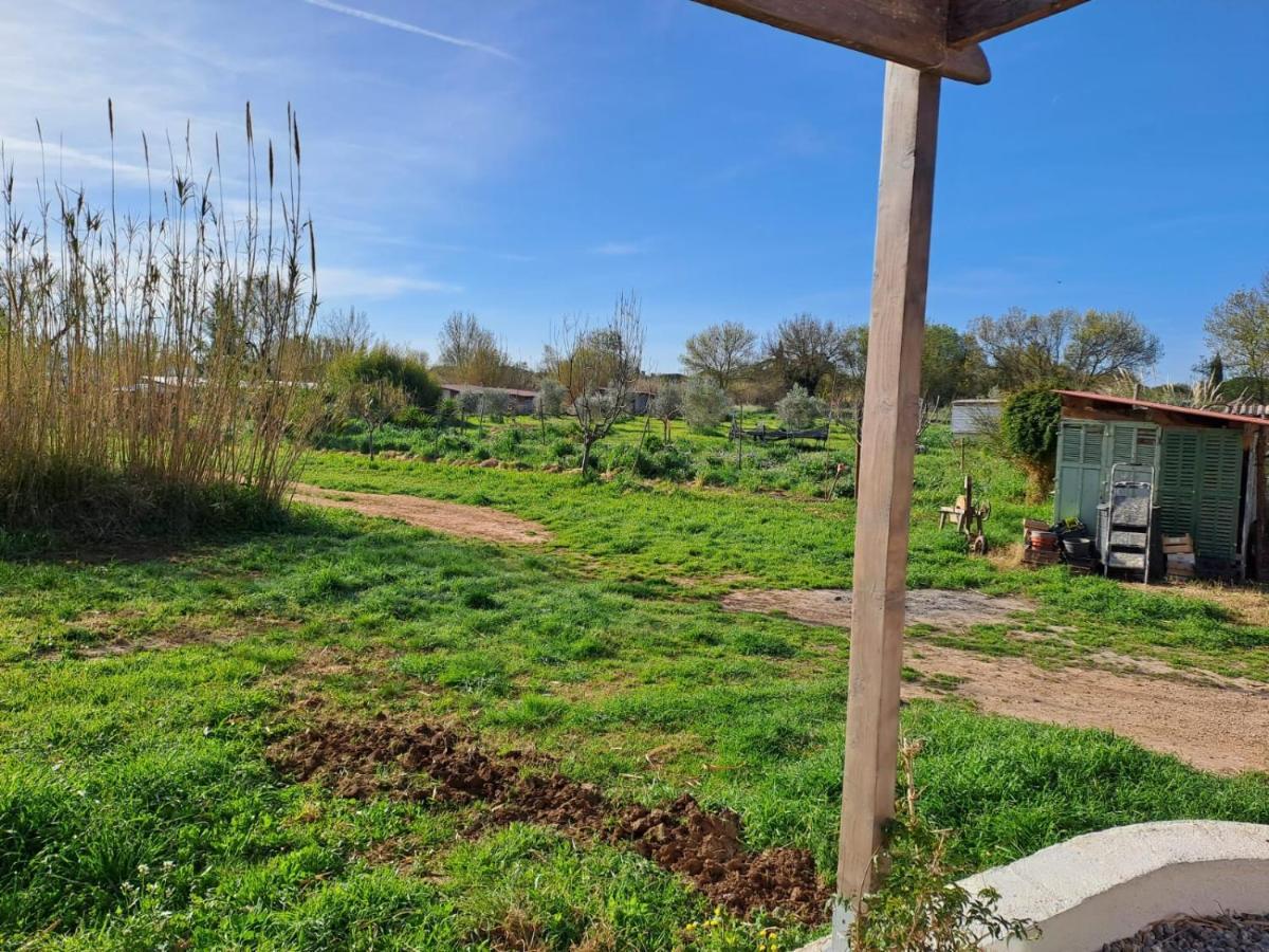Gite Des Canniers Hyères Exteriér fotografie